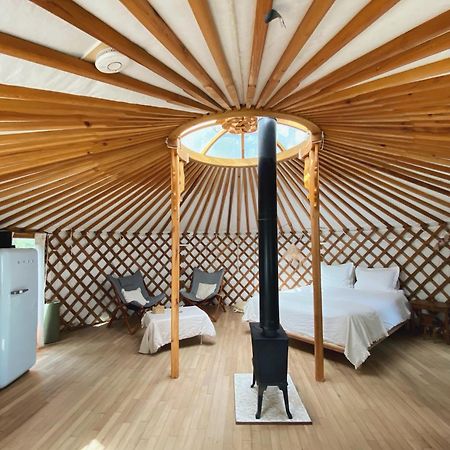 Ons Yurt Huisje In Het Bos Hollandsche Rading Esterno foto