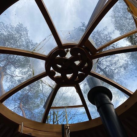 Ons Yurt Huisje In Het Bos Hollandsche Rading Esterno foto