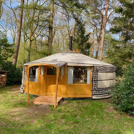 Ons Yurt Huisje In Het Bos Hollandsche Rading Esterno foto