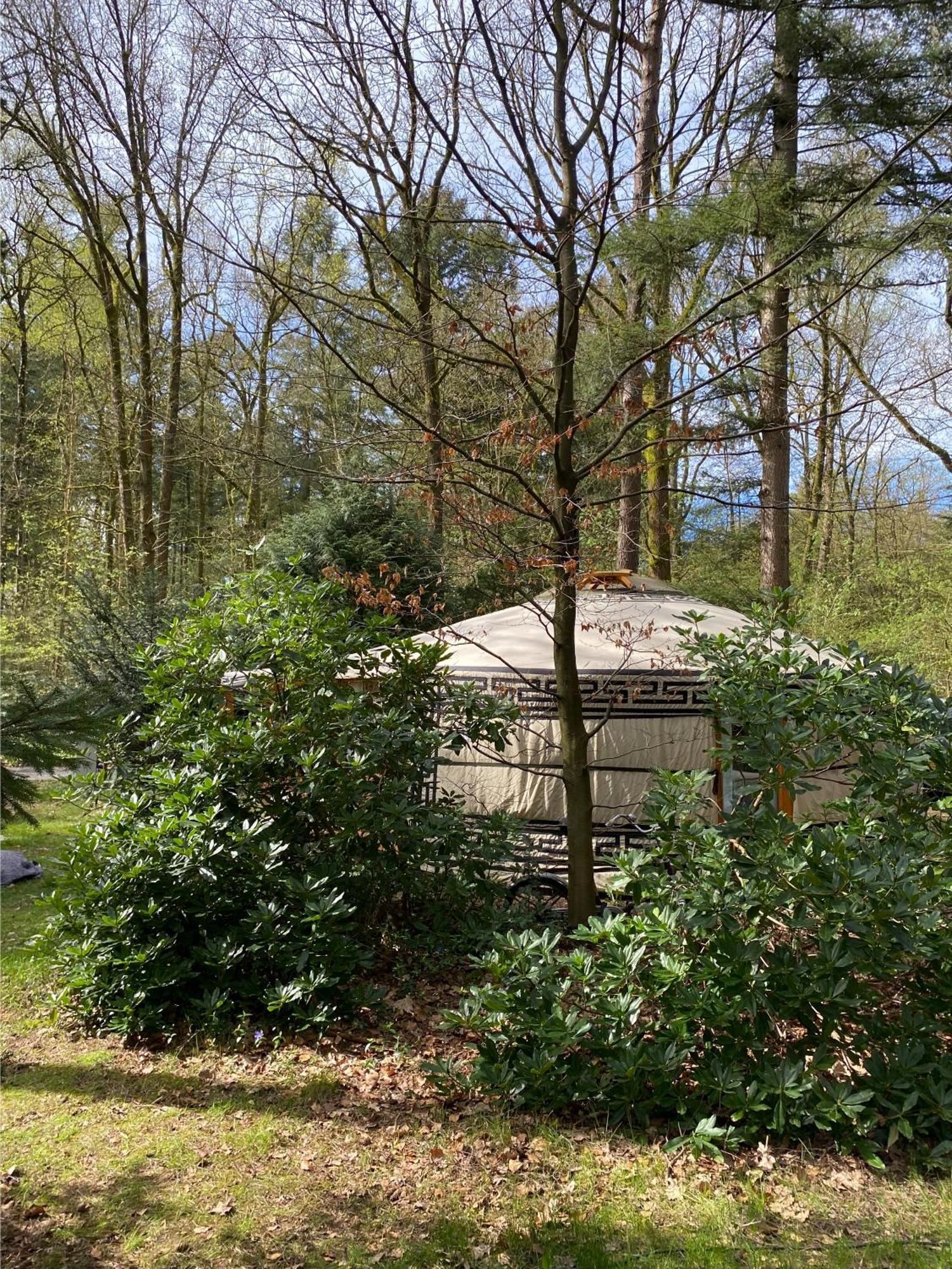 Ons Yurt Huisje In Het Bos Hollandsche Rading Esterno foto
